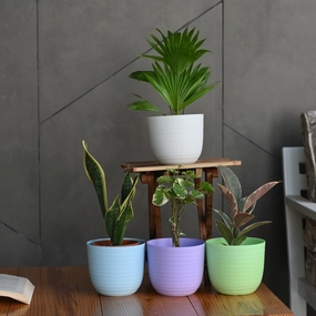 Plastic Verona 15 Pot/Planter desktop planter  