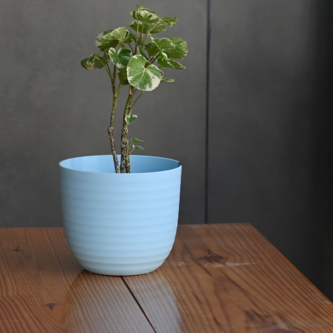 Plastic Verona 15 Pot/Planter