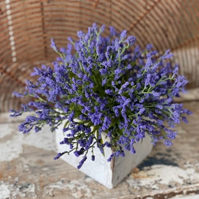 Plum Astible Half Sphere xl flower pot  
