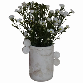 Pok Ta Pok Vase Medium mini ornamental plant  