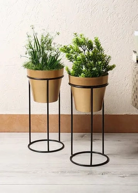Pot Shape Planter (Big) - Set of 2 hanging green plant  