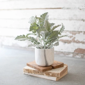 Potted Greenery xl flower pot  