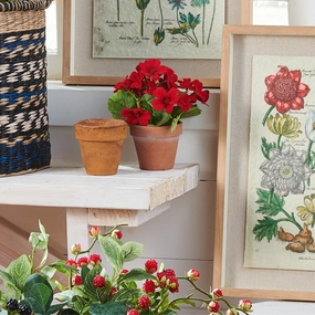 Potted Red Geranium xl flower pot  