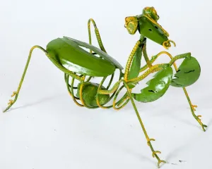 Praying Mantis dried flower branch  