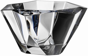 Precious Bowl mini ornamental plant  
