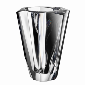 Precious Vase mini ornamental plant  