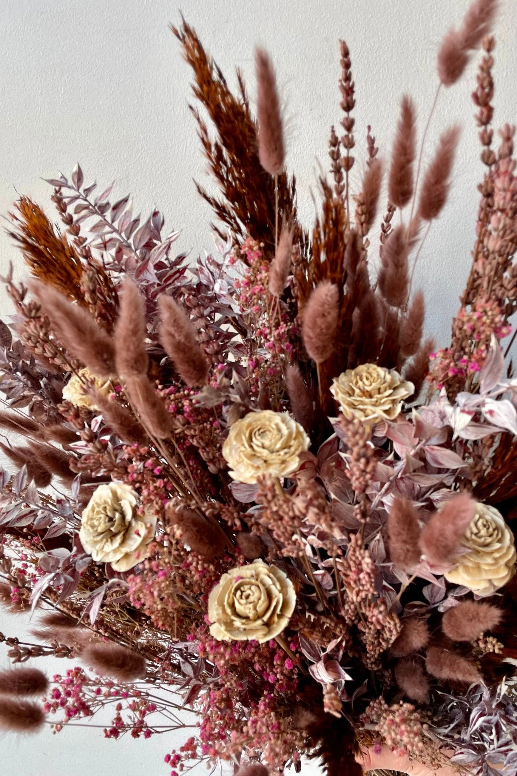 Preserved Arrangement Ambrosia