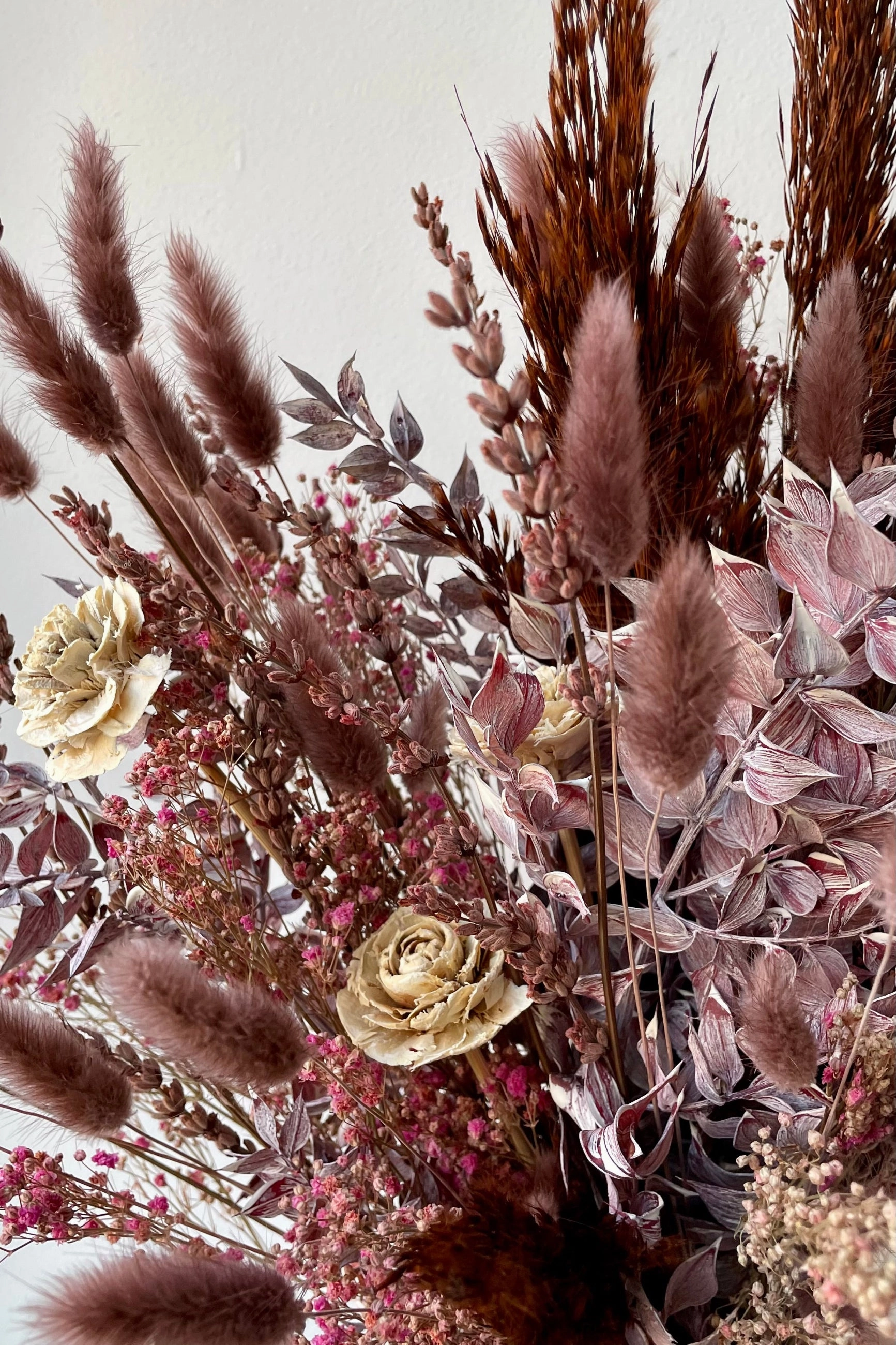 Preserved Arrangement Ambrosia