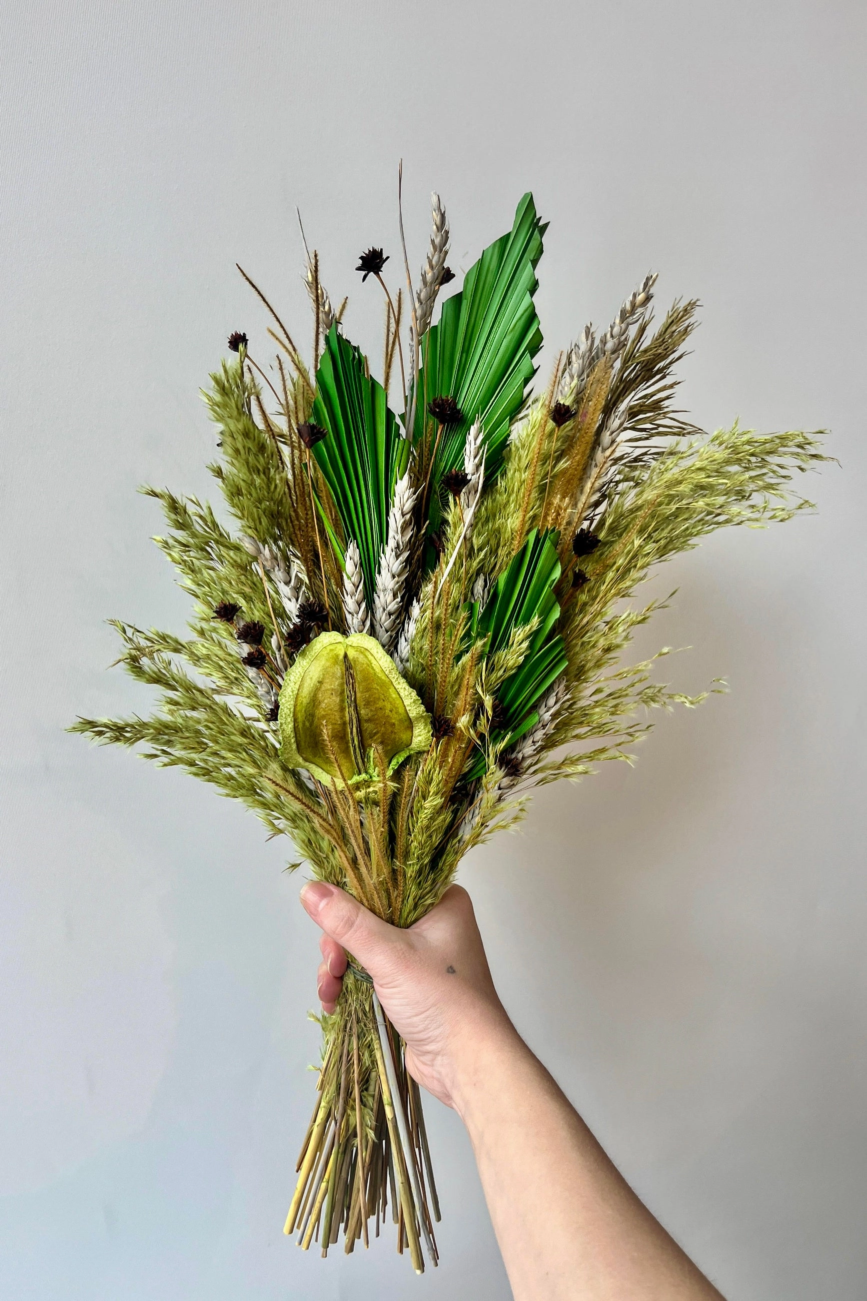 Preserved Arrangement Flora Borealis