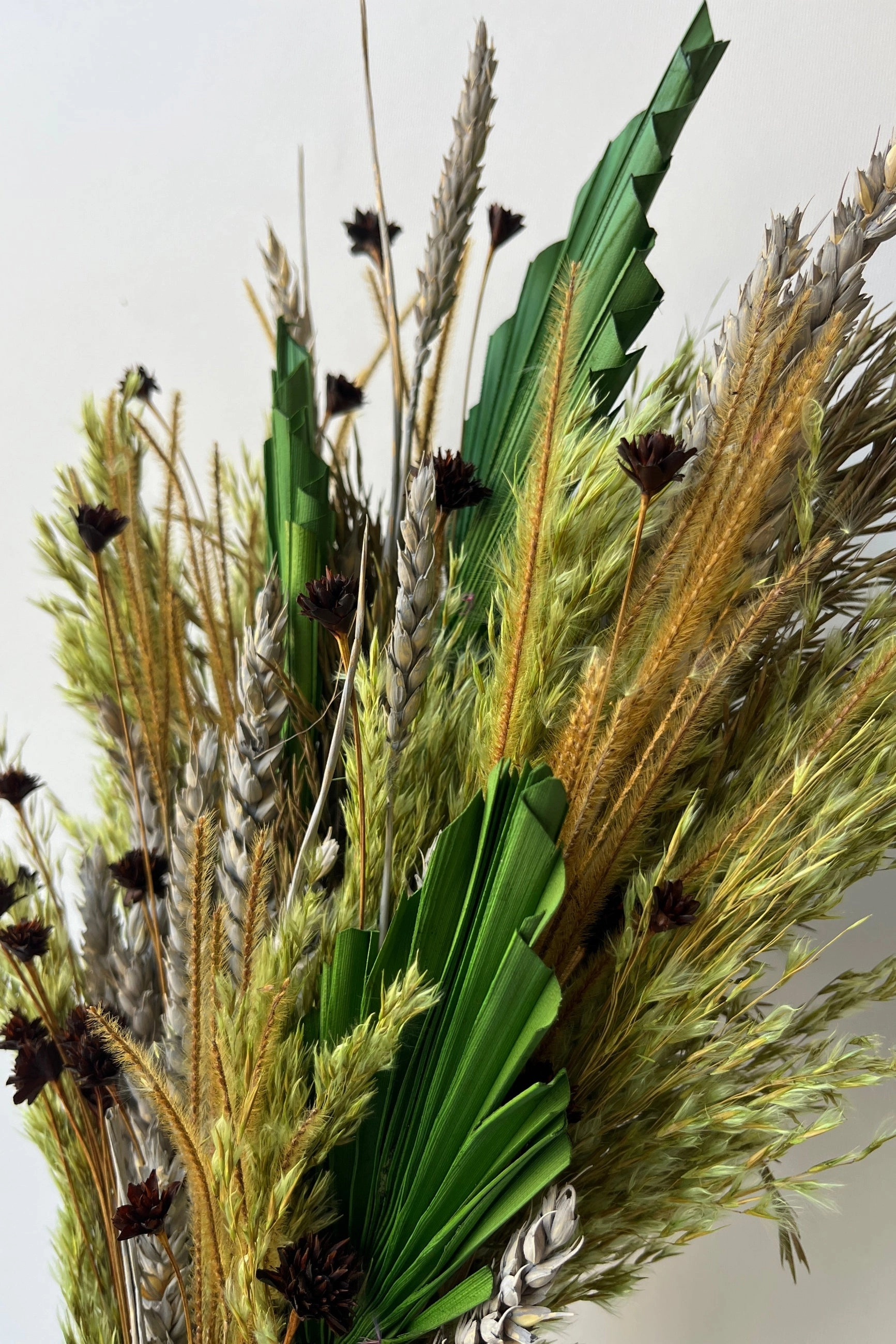 Preserved Arrangement Flora Borealis