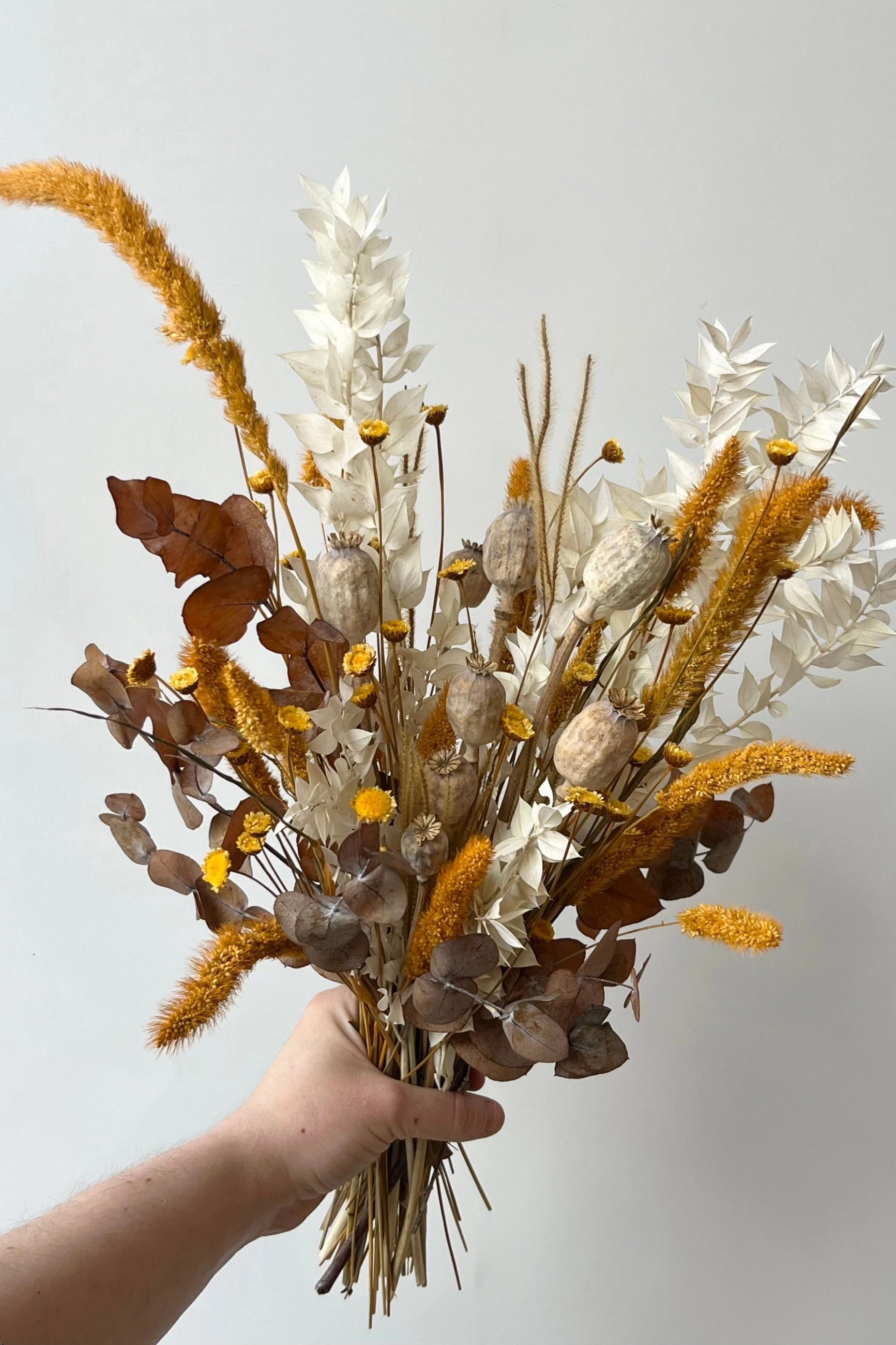 Preserved Arrangement Golden Hour