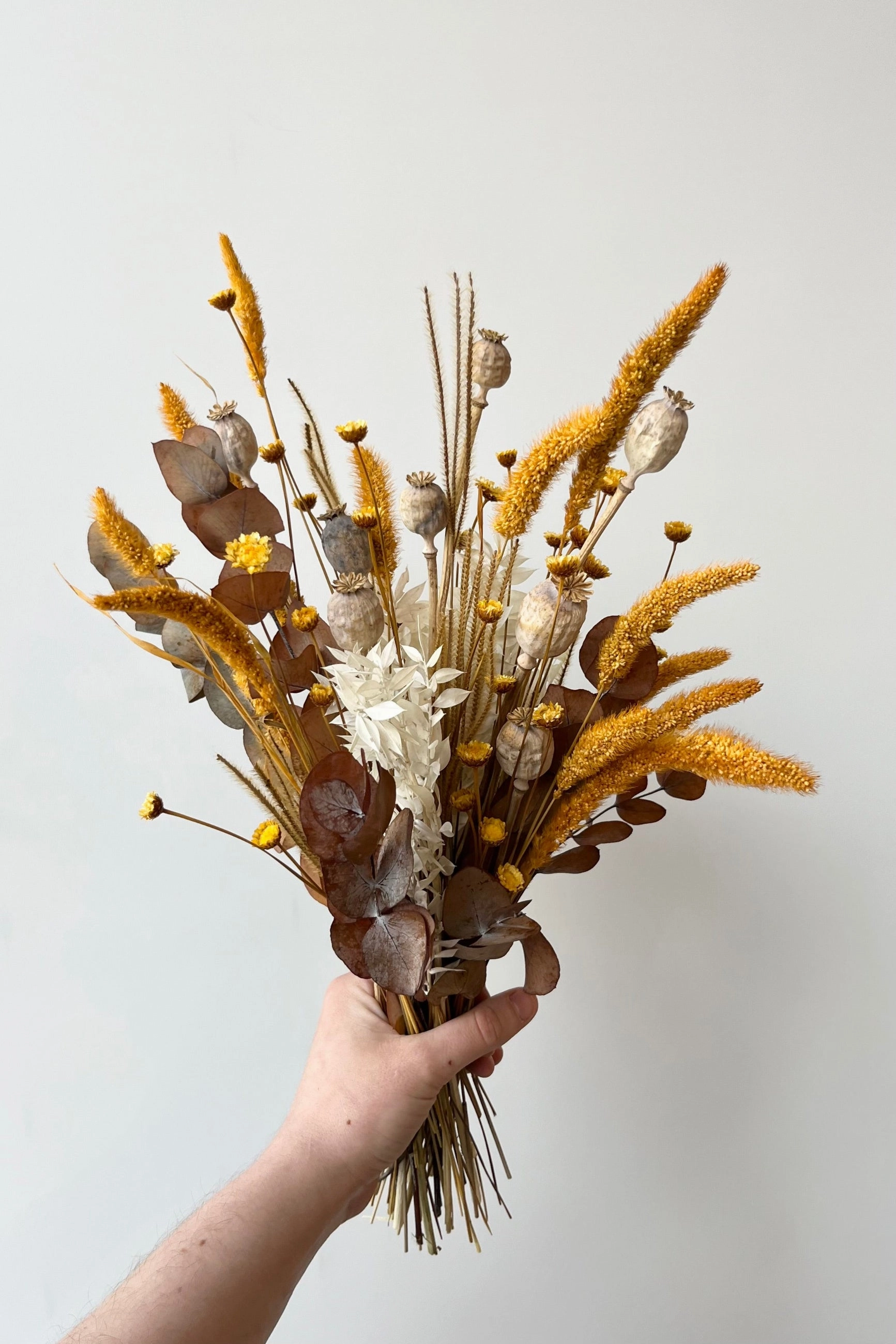 Preserved Arrangement Golden Hour