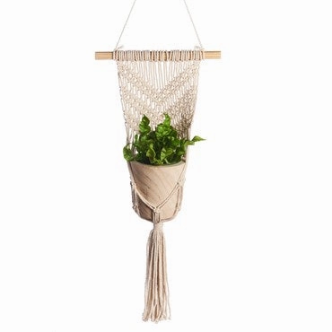 Primitive Planters Small Wall Planter plant seeds  