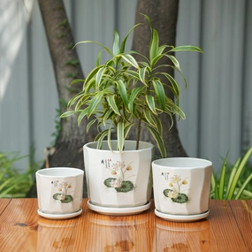 Printed Glossy Finish Ceramic Planter With Tray shade perennial  