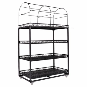 Professional Succulent Metal Stand mini ornamental plant  