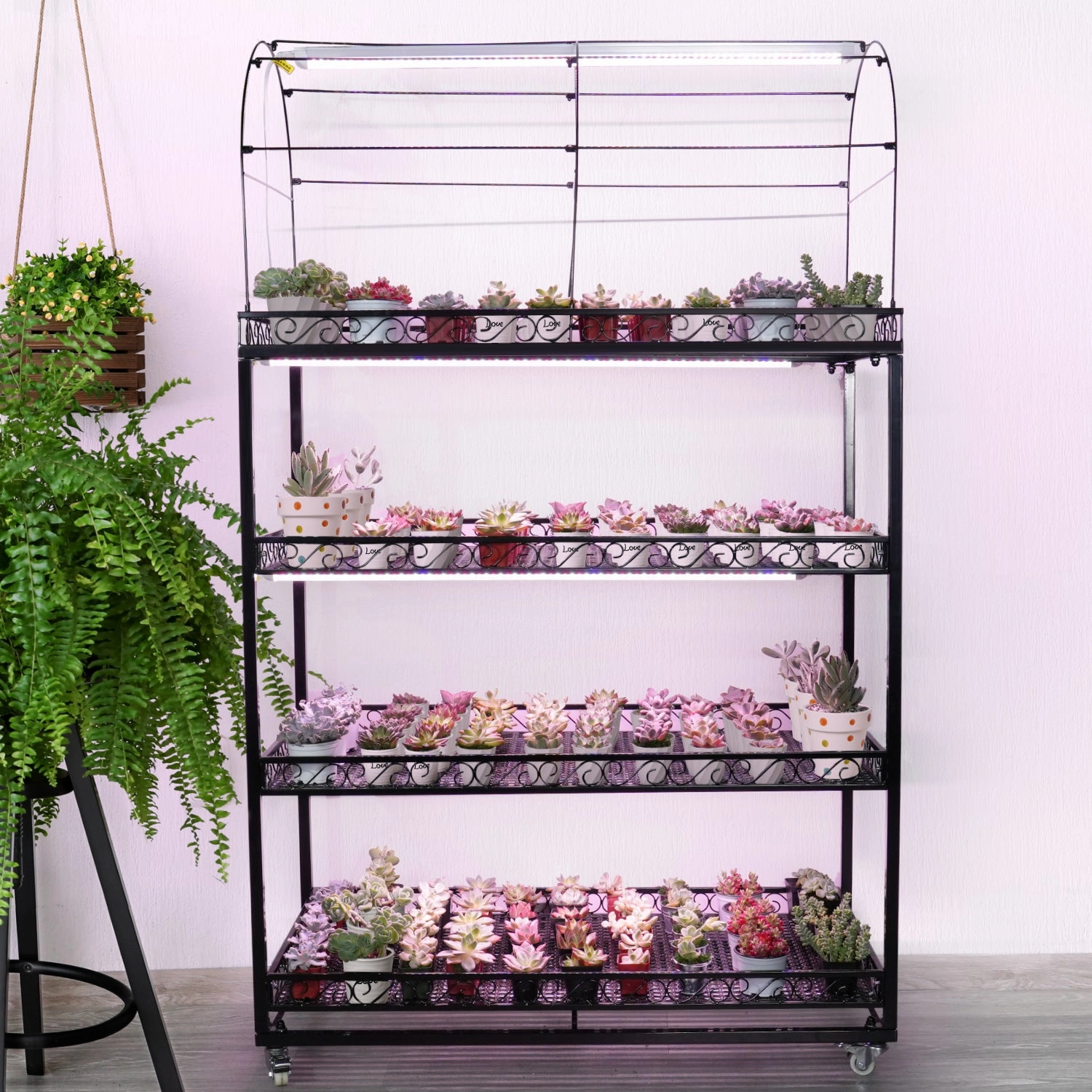 Professional Succulent Metal Stand