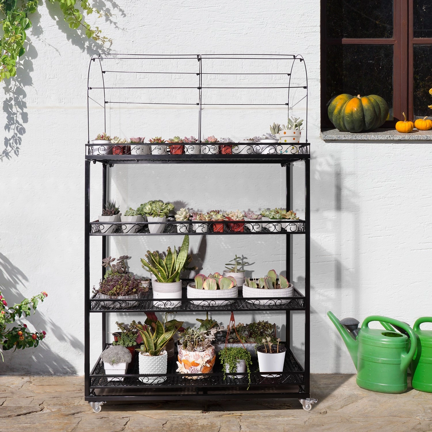 Professional Succulent Metal Stand