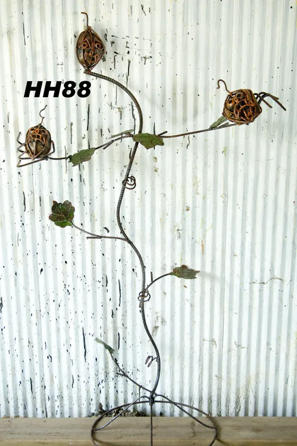 Pumpkin Tree dried flower branch  