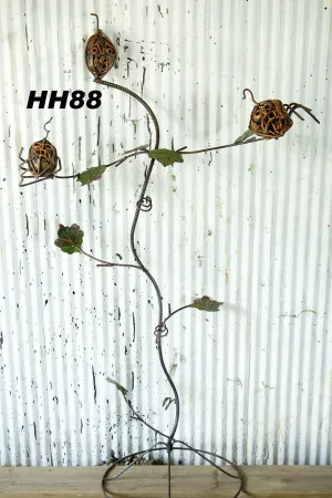 Pumpkin Tree dried flower branch  