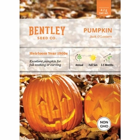 Pumpkin, Jack O'Lantern Seed Packets floating plant shelf  