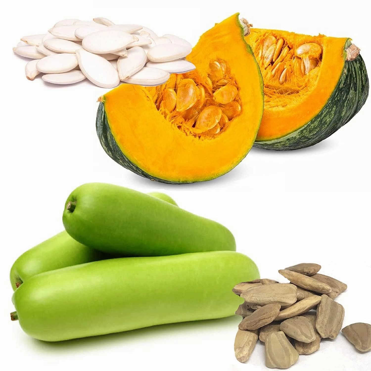 Pumpkin (Kaddu) and Bottle Guard (Lauki) Seeds small bud vase  