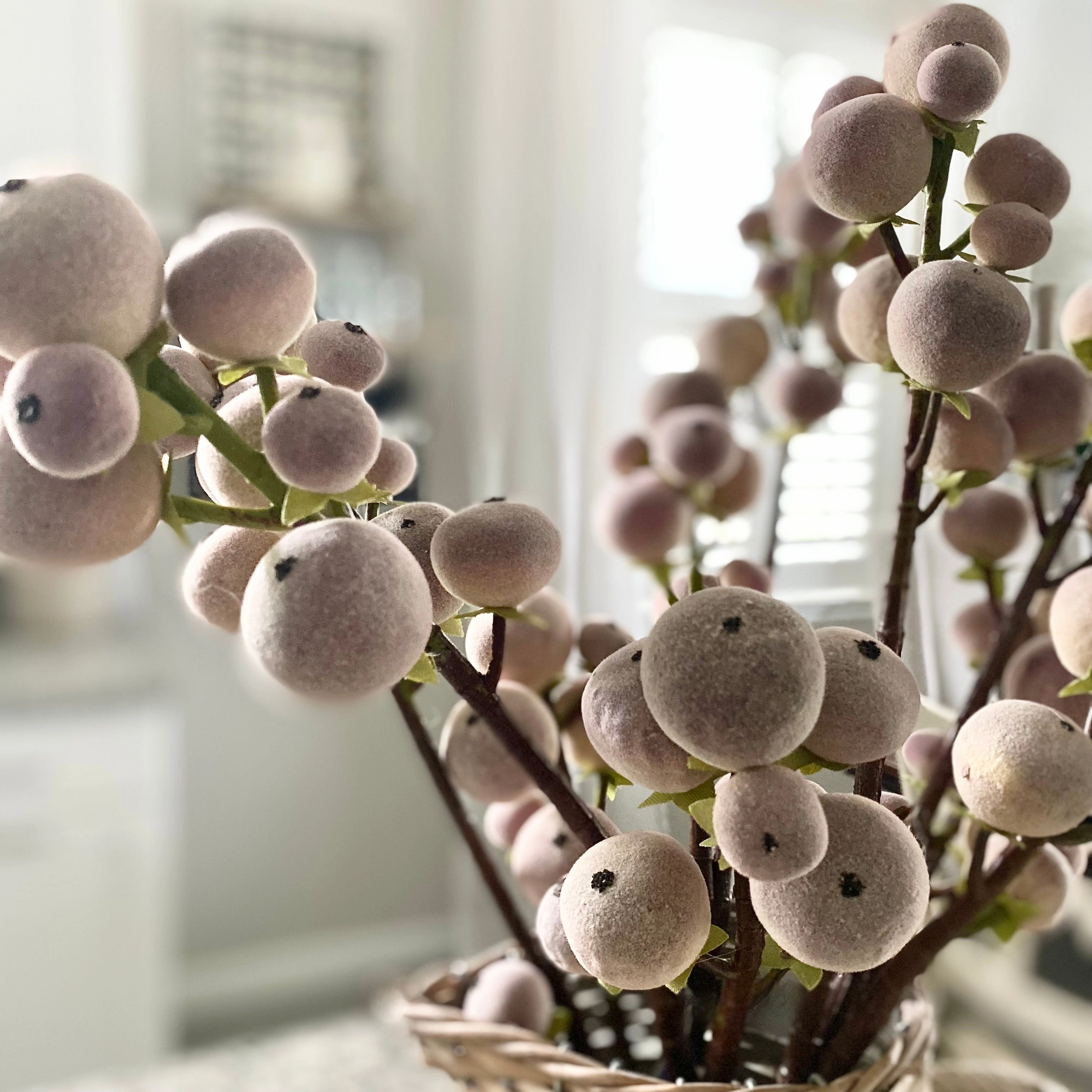 Purple Pod Spray