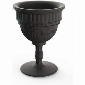 Qeeboo Capitol Planter/Champagne Cooler ?x H 44x60 Cm, Black dried green plant  