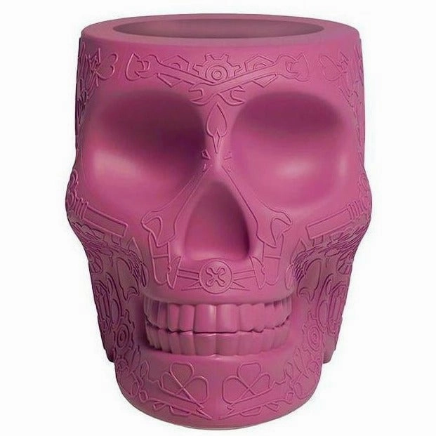 Qeeboo Mexico Planter And Pen Holder Xs, Bright Pink dried green plant  
