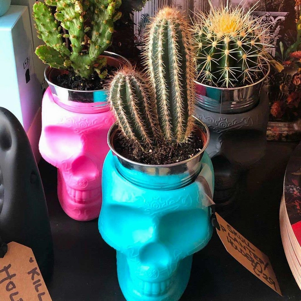 Qeeboo Mexico Planter And Pen Holder Xs, Cyan