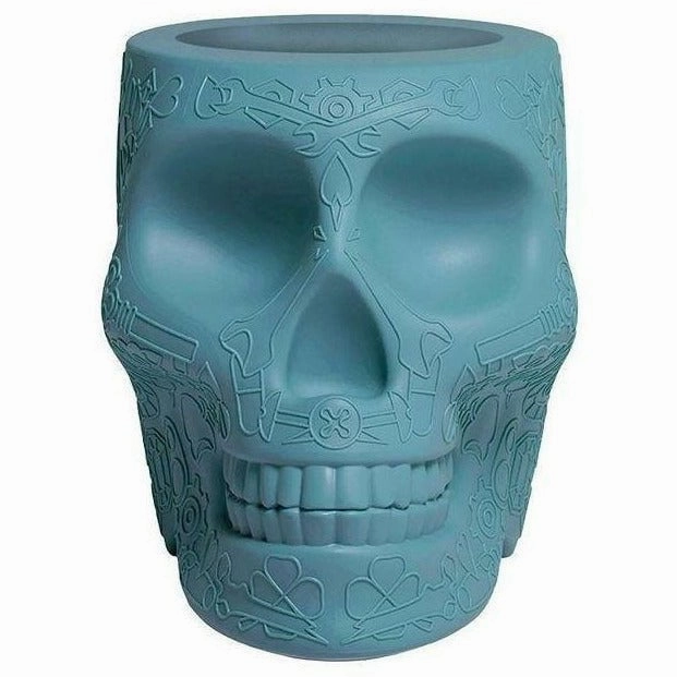 Qeeboo Mexico Planter And Pen Holder Xs, Cyan dried green plant  