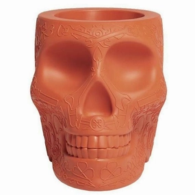 Qeeboo Mexico Planter/Champagne Cooler, Terracotta dried green plant  