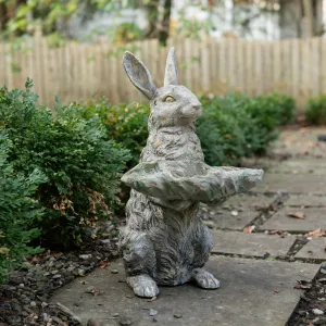 Rabbit Bird Bath dried flowers  