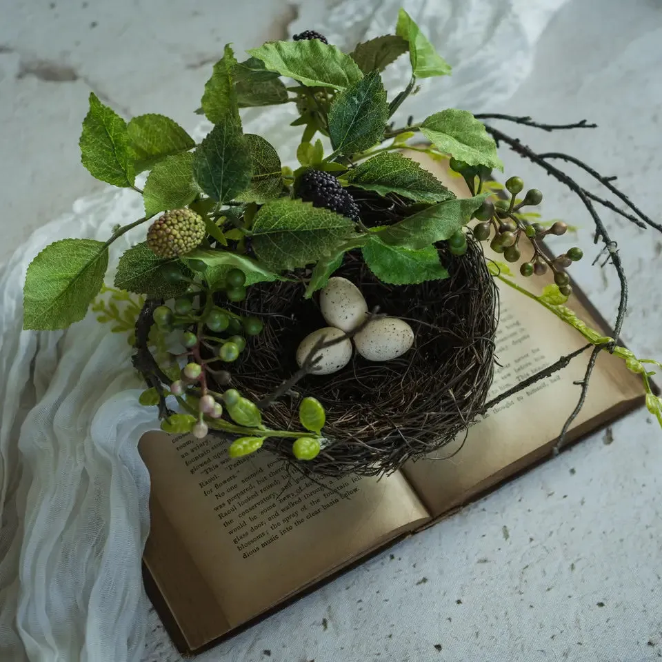 Raspberry Bird Nest