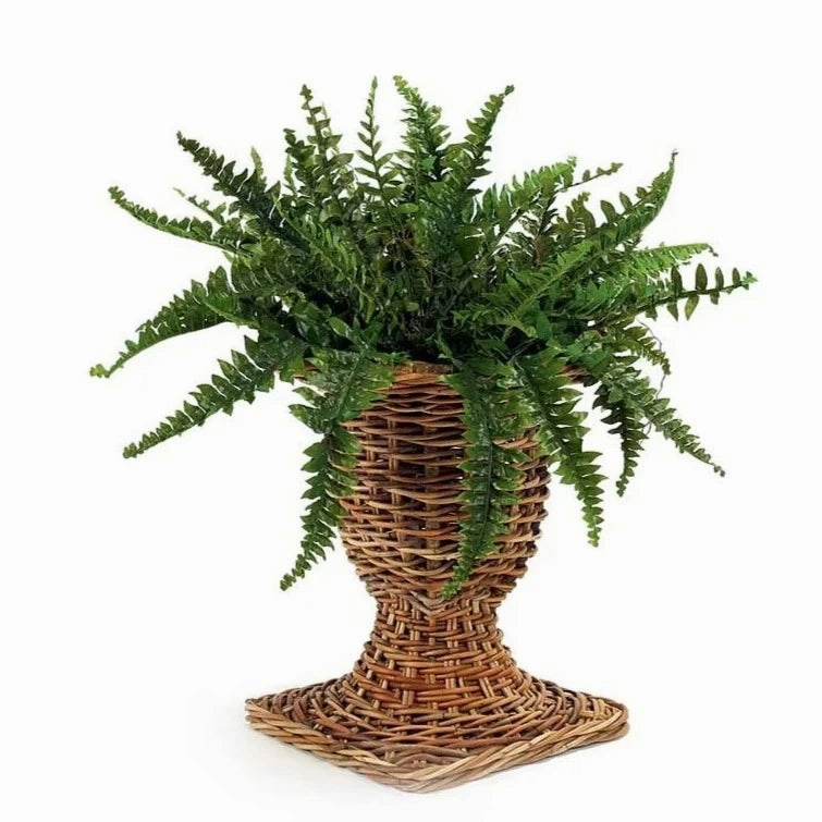 Rattan French Country Urn plant seeds  