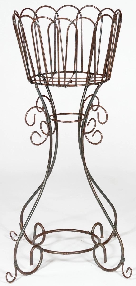 Rd. Plant Stand W. Deep Basket cactus succulent plant  