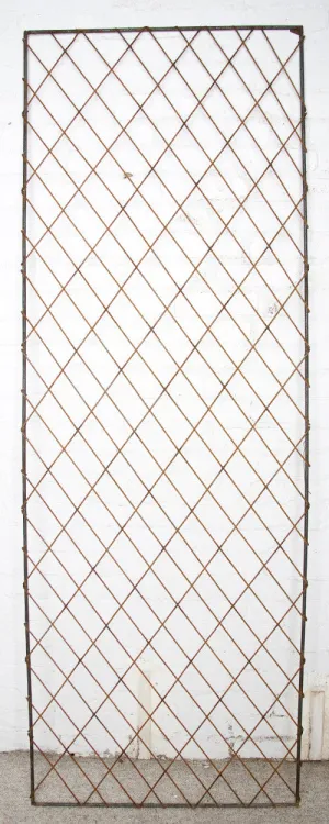 Rectangle Panel dried flower branch  