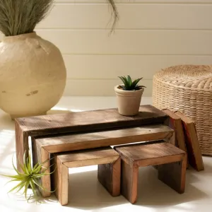 Recycled Wood Nesting Rectangle Risers Set dried flowers  