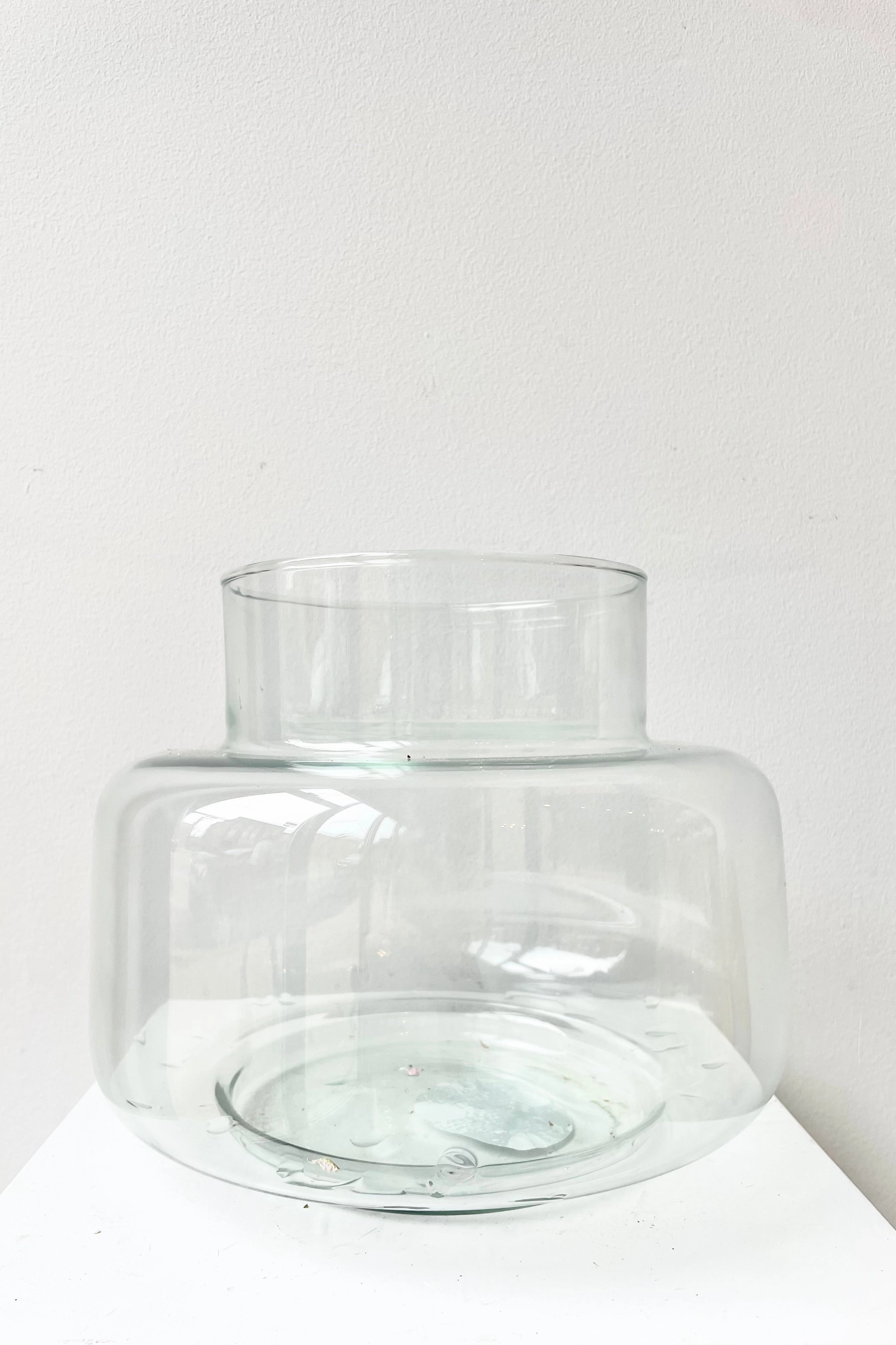 Recycled Glass Vase dried green plant  