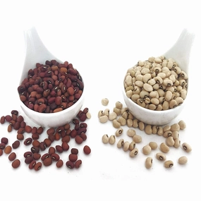 Red and White Long Yard Beans (Combo) small bud vase  