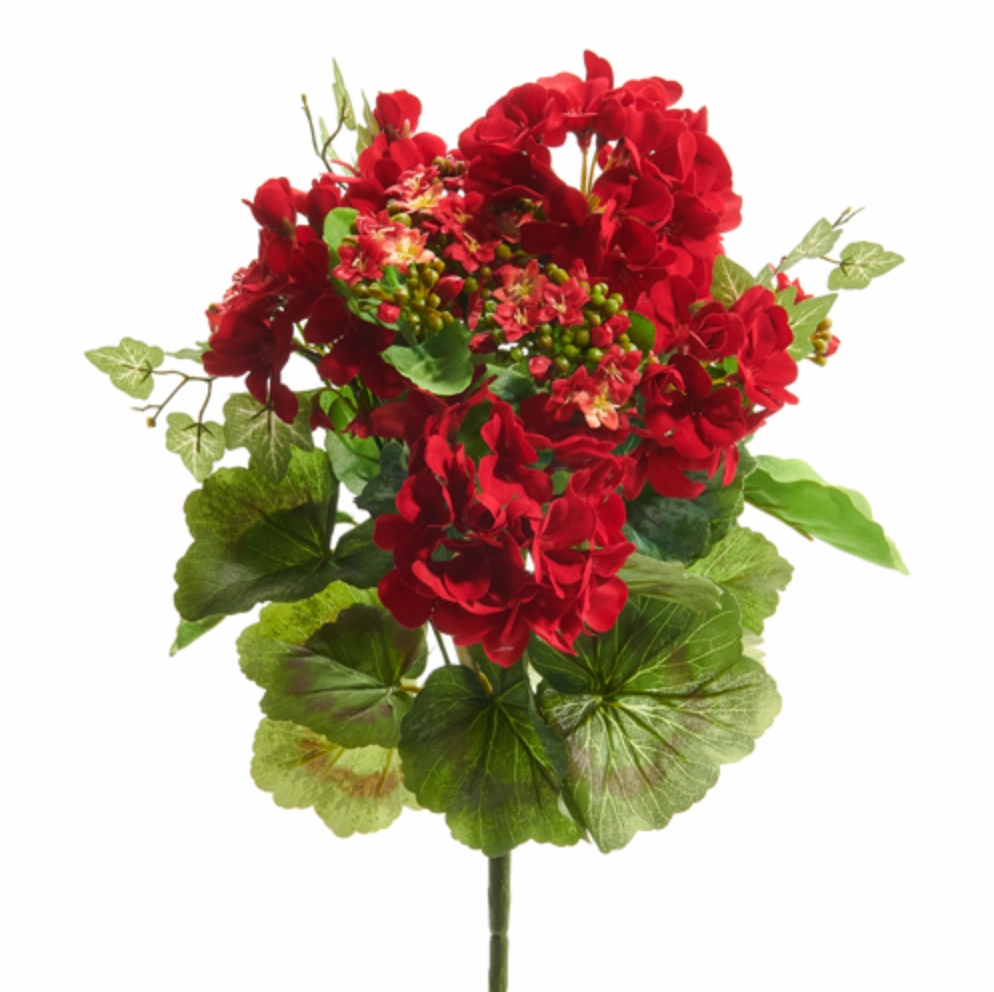 Red Geranium & Kalanchoe Bush