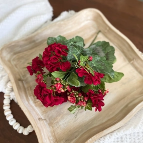 Red Geranium & Kalanchoe Bush xl flower pot  