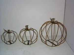 Regular Pumpkins Set of 3 dried flower branch  