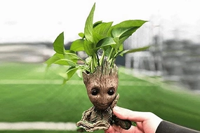 Resin Groot Flower Table Pots & Planters (Light Brown) desktop planter  