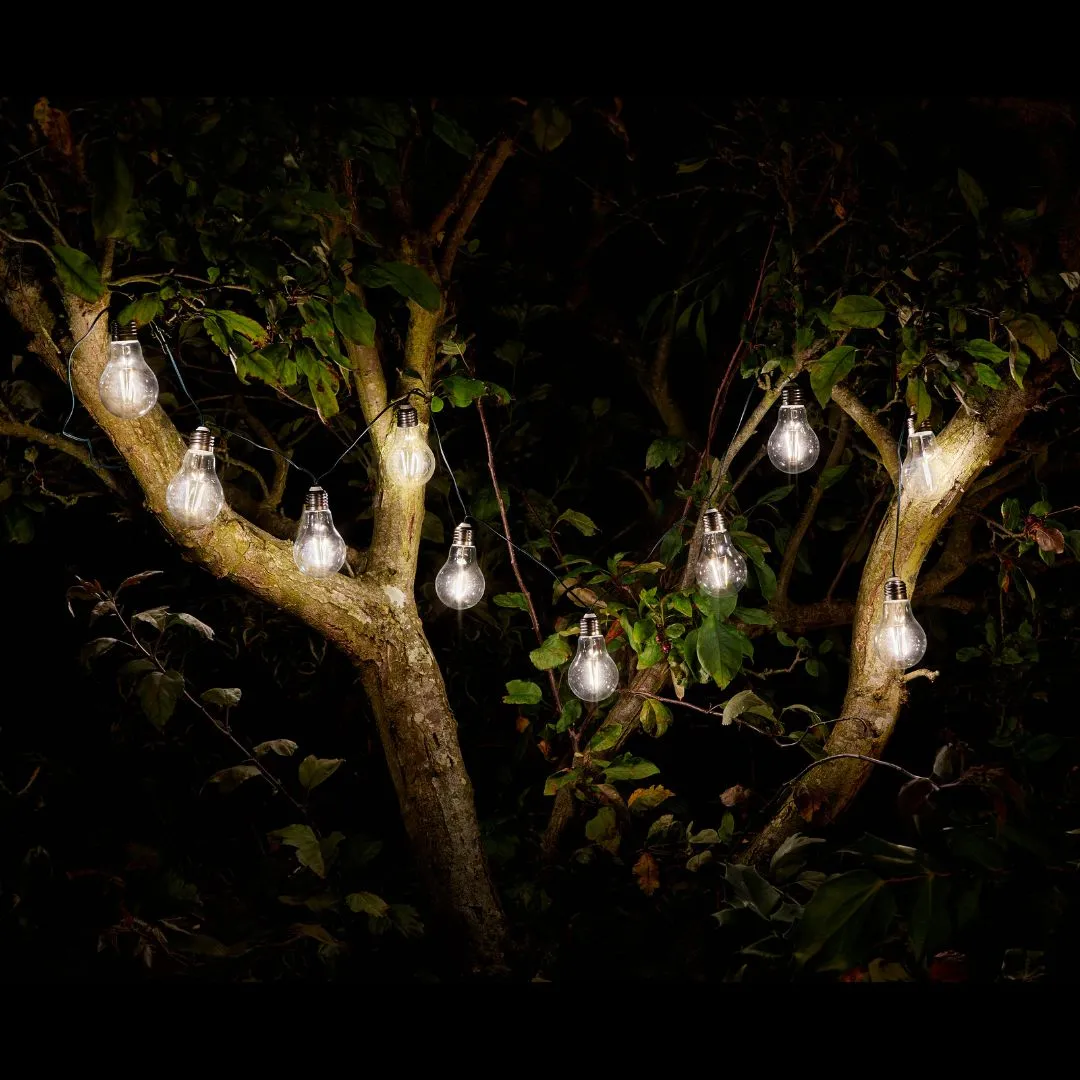 Retro Solar String Lights 10 Bulbs dried flowers  