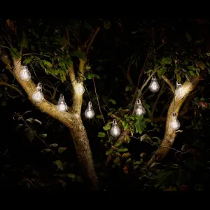 Retro Solar String Lights 10 Bulbs dried flowers  