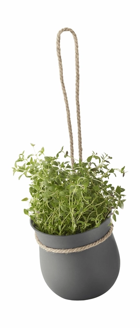 Rig Tig Grow It Flower Planter, Grey dried green plant  