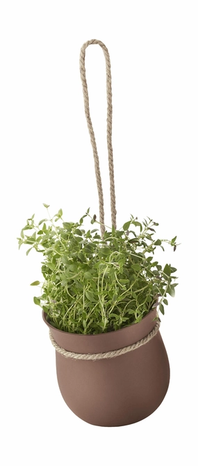 Rig Tig Grow It Flower Planter, Terracotta dried green plant  