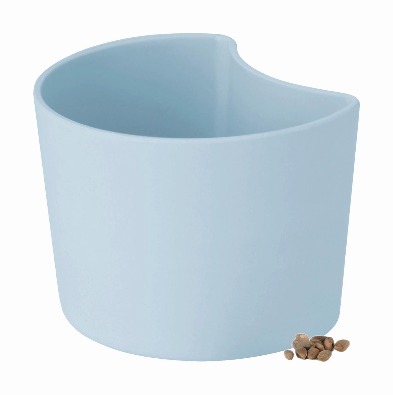Rig Tig Your Tree Flower Pots With Seeds, Blue dried green plant  