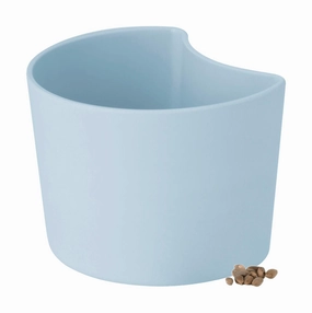 Rig Tig Your Tree Flower Pots With Seeds, Blue dried green plant  
