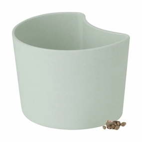 Rig Tig Your Tree Flower Pots With Seeds, Green dried green plant  